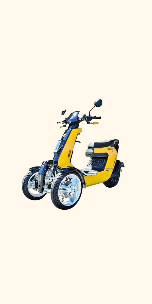 Reverse Triker 3000W