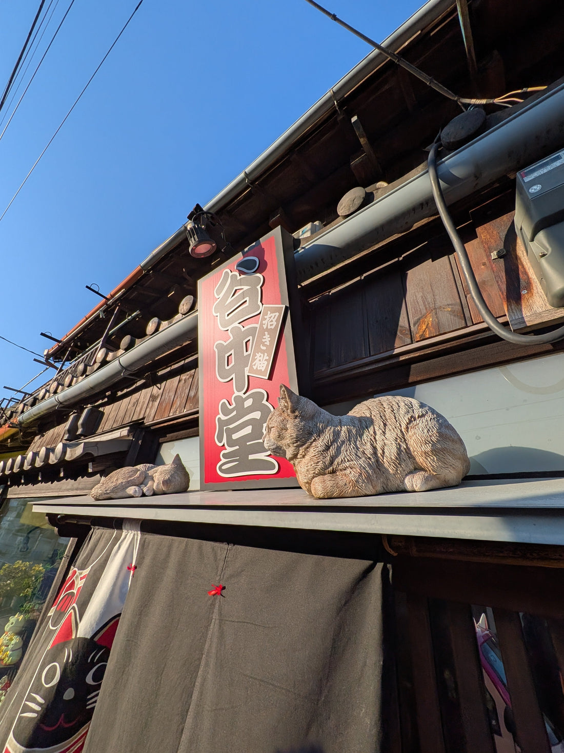 EV TUKTUK ROUTE VOL.1 — ASAKUSA / UENO / YANAKA 　A Slow Tokyo Day Filled with Flavor, Encounters, and Local Charm