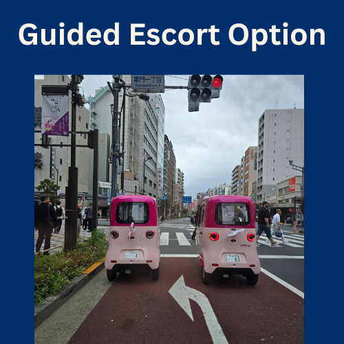 Guided escort option