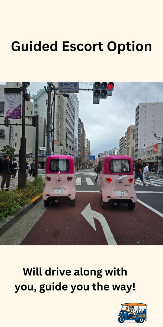 Optional Guide Serive